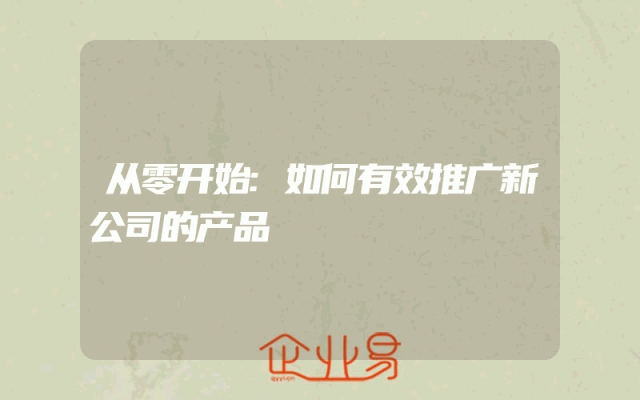 从零开始:如何有效推广新公司的产品