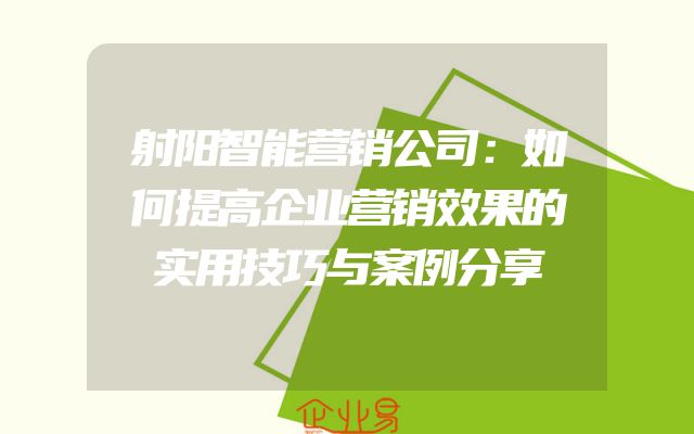 射阳智能营销公司：如何提高企业营销效果的实用技巧与案例分享
