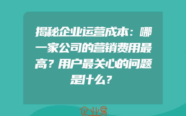 揭秘企业运营成本：哪一家公司的营销费用最高？用户最关心的问题是什么？