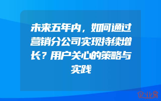 未来五年内，如何通过营销分公司实现持续增长？用户关心的策略与实践