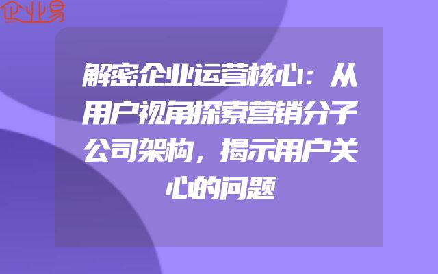 解密企业运营核心：从用户视角探索营销分子公司架构，揭示用户关心的问题