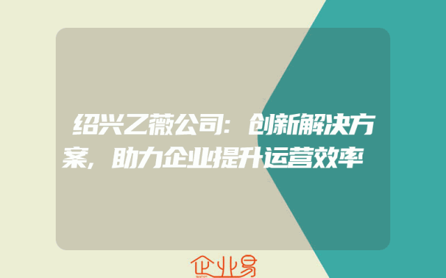 绍兴乙薇公司:创新解决方案,助力企业提升运营效率