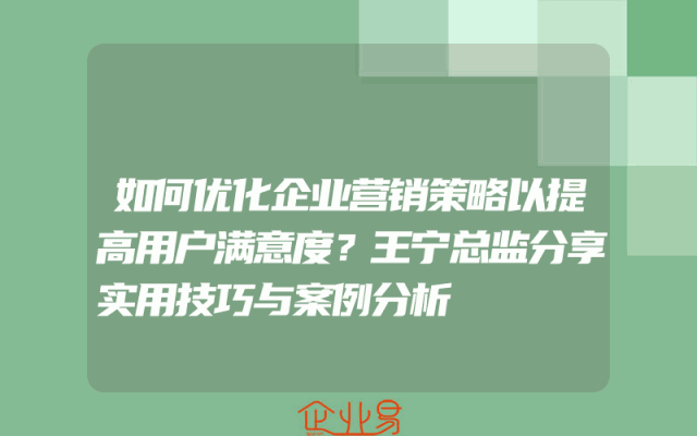 如何优化企业营销策略以提高用户满意度？王宁总监分享实用技巧与案例分析