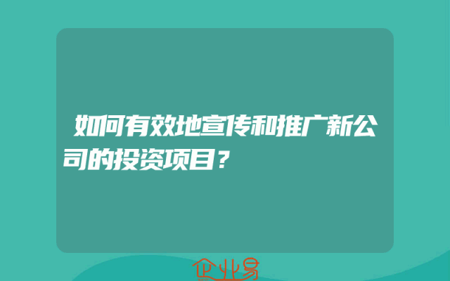 如何有效地宣传和推广新公司的投资项目？