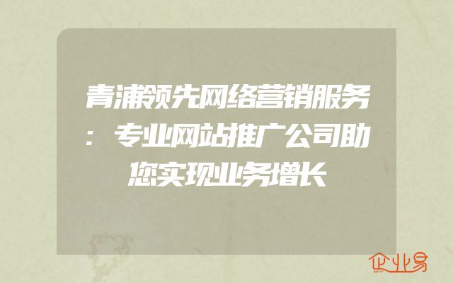 青浦领先网络营销服务:专业网站推广公司助您实现业务增长