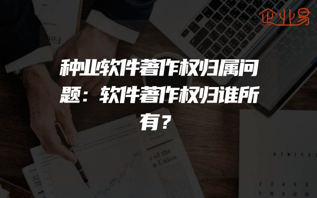 种业软件著作权归属问题：软件著作权归谁所有？