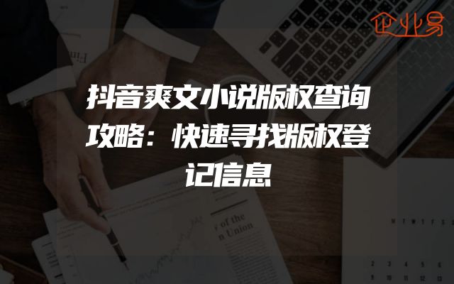 抖音爽文小说版权查询攻略：快速寻找版权登记信息