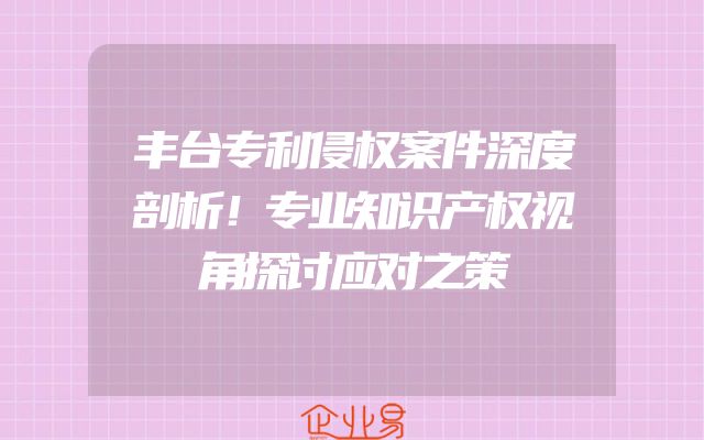 丰台专利侵权案件深度剖析！专业知识产权视角探讨应对之策