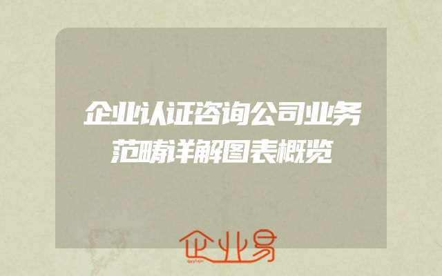 企业认证咨询公司业务范畴详解图表概览