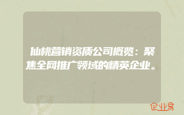 仙桃营销资质公司概览：聚焦全网推广领域的精英企业。