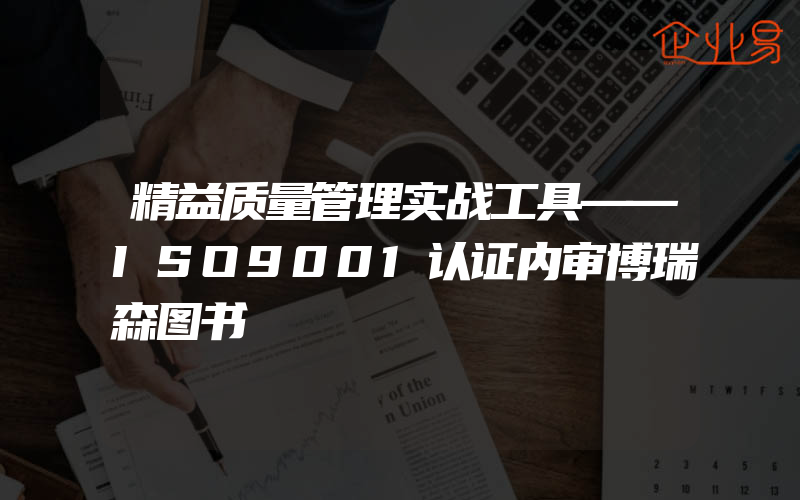 精益质量管理实战工具——ISO9001认证内审博瑞森图书