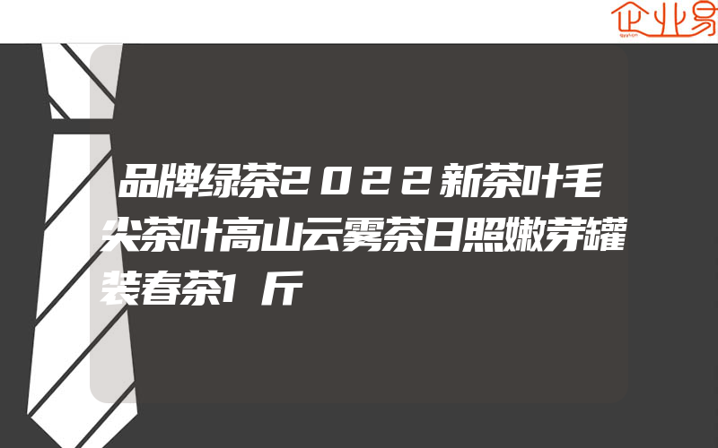 品牌绿茶2022新茶叶毛尖茶叶高山云雾茶日照嫩芽罐装春茶1斤