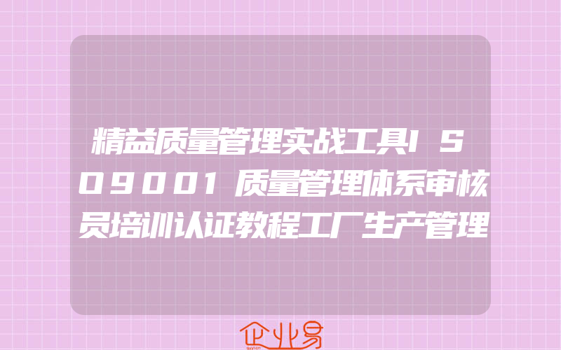 精益质量管理实战工具ISO9001质量管理体系审核员培训认证教程工厂生产管理书籍企业经营管理书籍精益实践精益内审员教材BRS