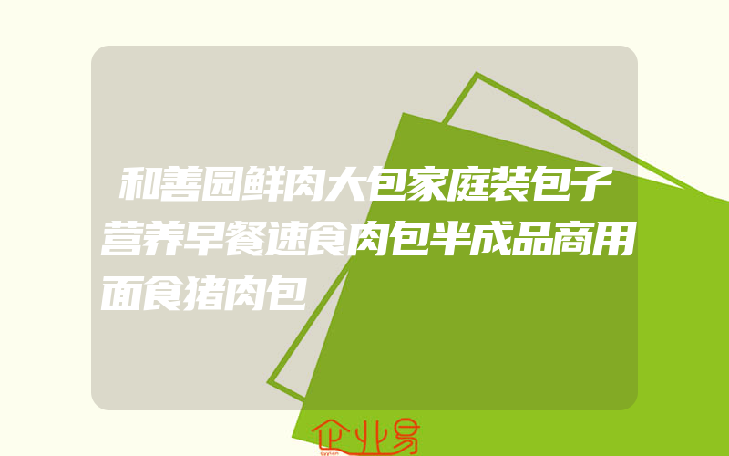 和善园鲜肉大包家庭装包子营养早餐速食肉包半成品商用面食猪肉包