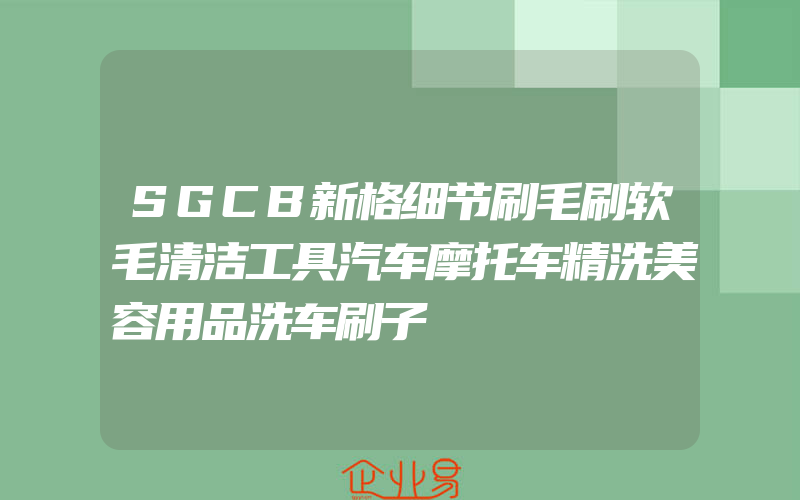 SGCB新格细节刷毛刷软毛清洁工具汽车摩托车精洗美容用品洗车刷子