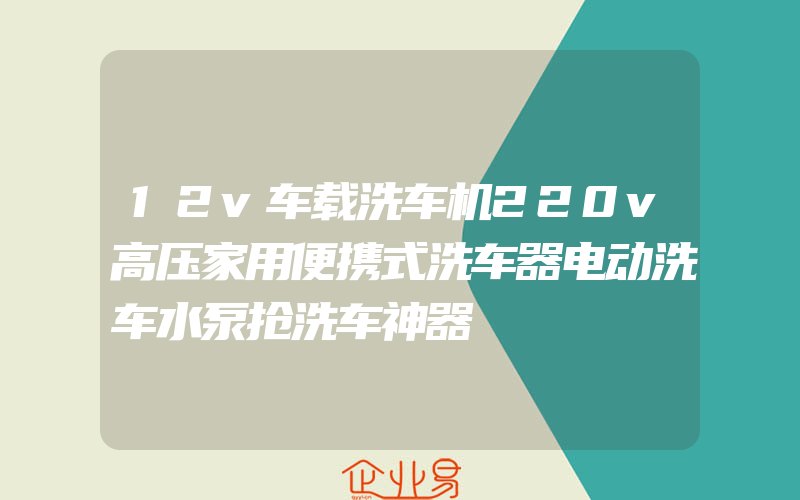 12v车载洗车机220v高压家用便携式洗车器电动洗车水泵抢洗车神器