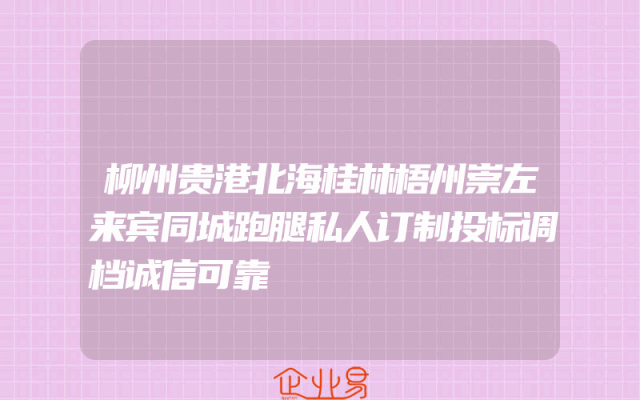 柳州贵港北海桂林梧州崇左来宾同城跑腿私人订制投标调档诚信可靠