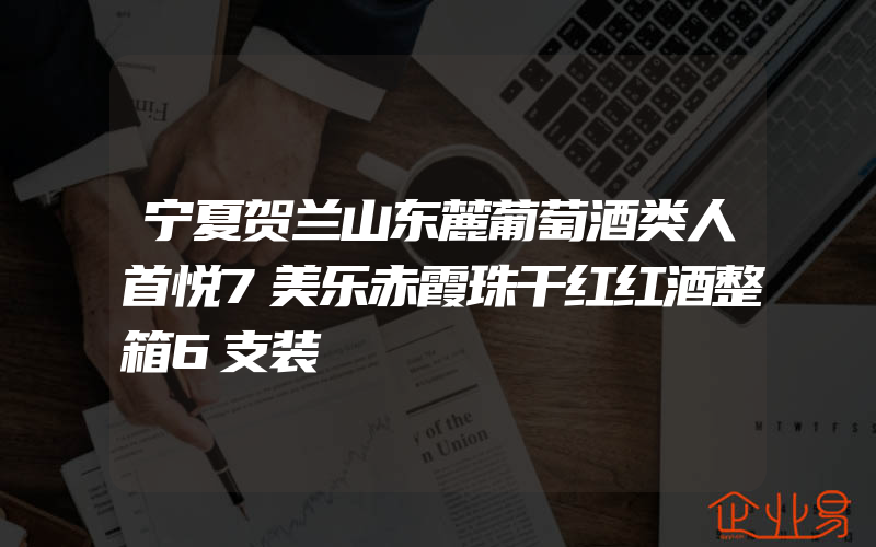 宁夏贺兰山东麓葡萄酒类人首悦7美乐赤霞珠干红红酒整箱6支装
