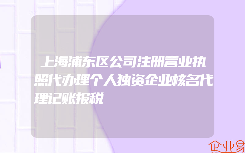 上海浦东区公司注册营业执照代办理个人独资企业核名代理记账报税