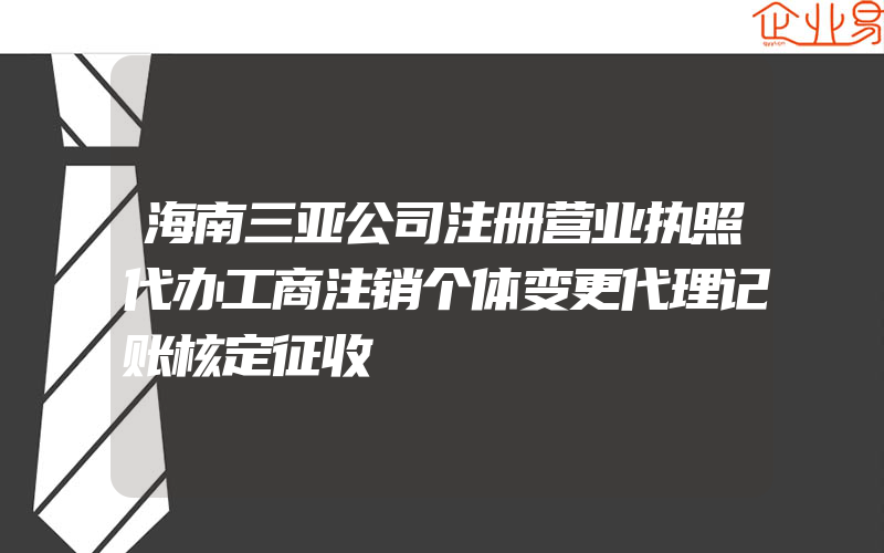 海南三亚公司注册营业执照代办工商注销个体变更代理记账核定征收