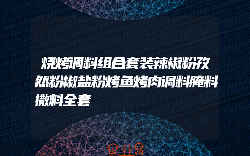 烧烤调料组合套装辣椒粉孜然粉椒盐粉烤鱼烤肉调料腌料撒料全套