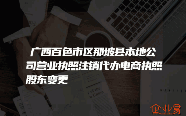 广西百色市区那坡县本地公司营业执照注销代办电商执照股东变更