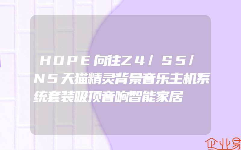 HOPE向往Z4/S5/N5天猫精灵背景音乐主机系统套装吸顶音响智能家居