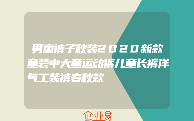 男童裤子秋装2020新款童装中大童运动裤儿童长裤洋气工装裤春秋款