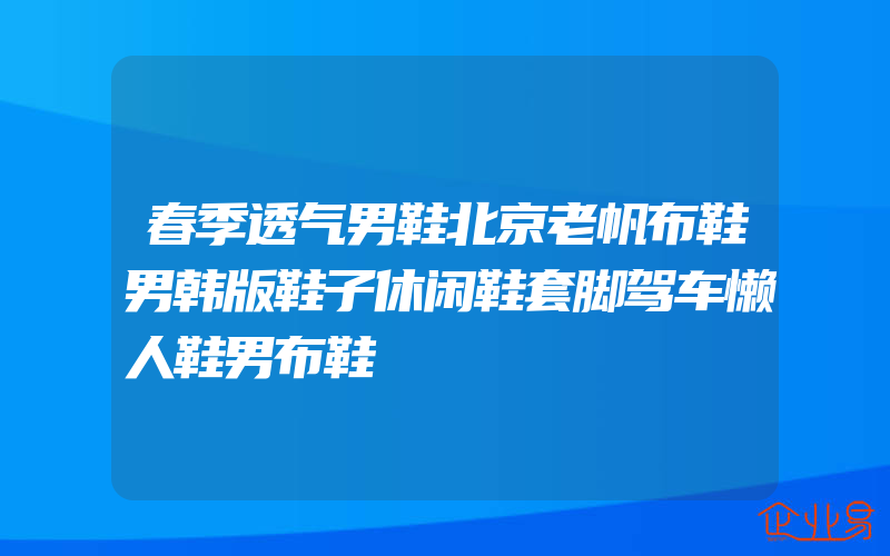 春季透气男鞋北京老帆布鞋男韩版鞋子休闲鞋套脚驾车懒人鞋男布鞋