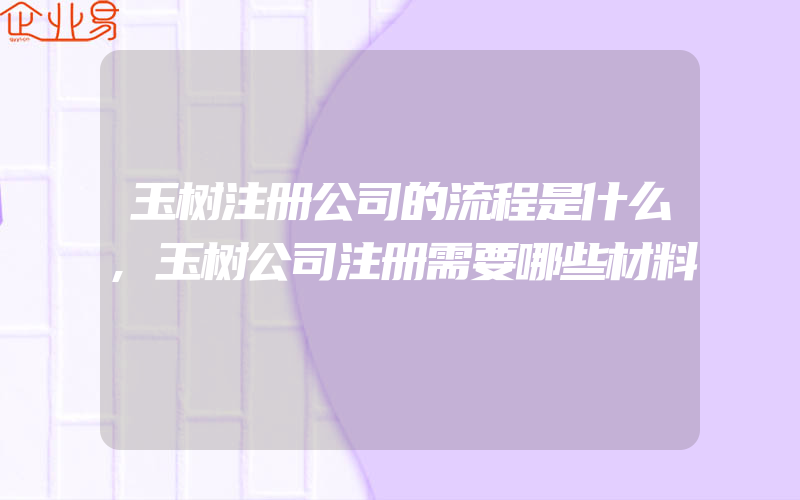 玉树注册公司的流程是什么,玉树公司注册需要哪些材料