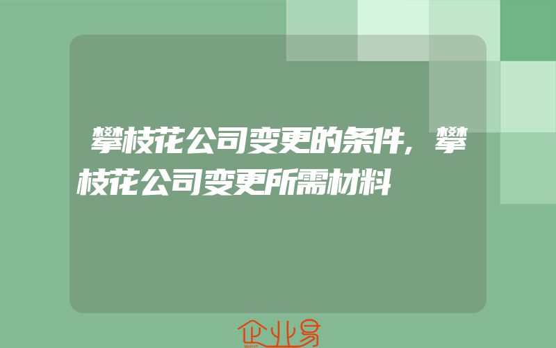 攀枝花公司变更的条件,攀枝花公司变更所需材料