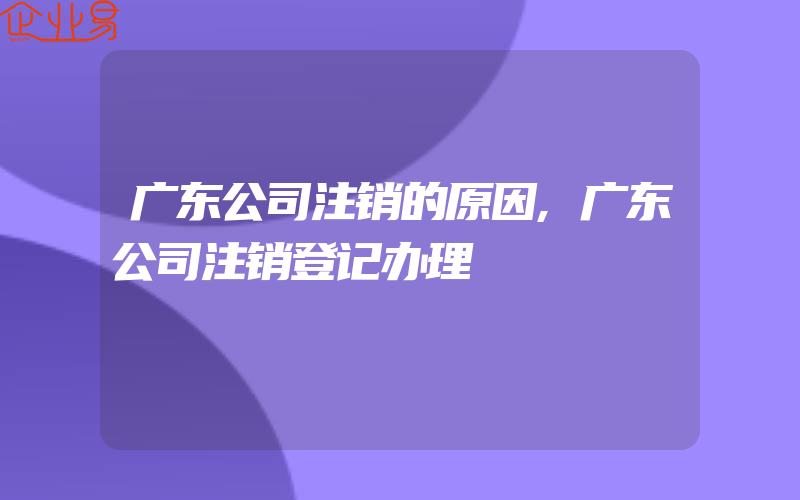 广东公司注销的原因,广东公司注销登记办理