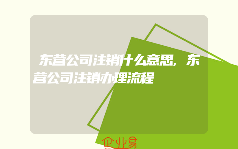 东营公司注销什么意思,东营公司注销办理流程