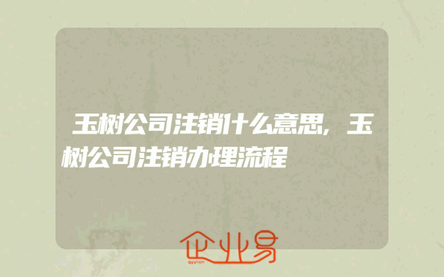 玉树公司注销什么意思,玉树公司注销办理流程