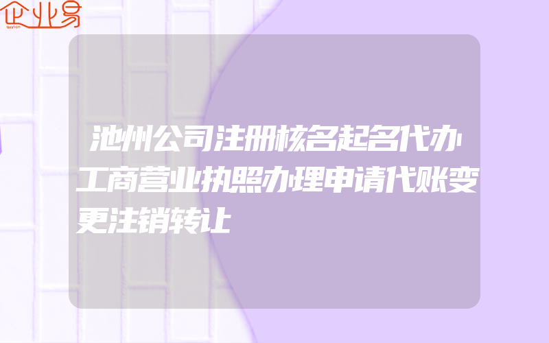 池州公司注册核名起名代办工商营业执照办理申请代账变更注销转让