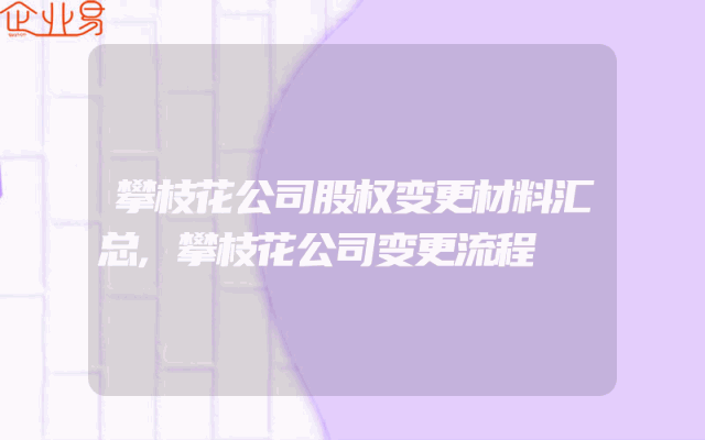 攀枝花公司股权变更材料汇总,攀枝花公司变更流程