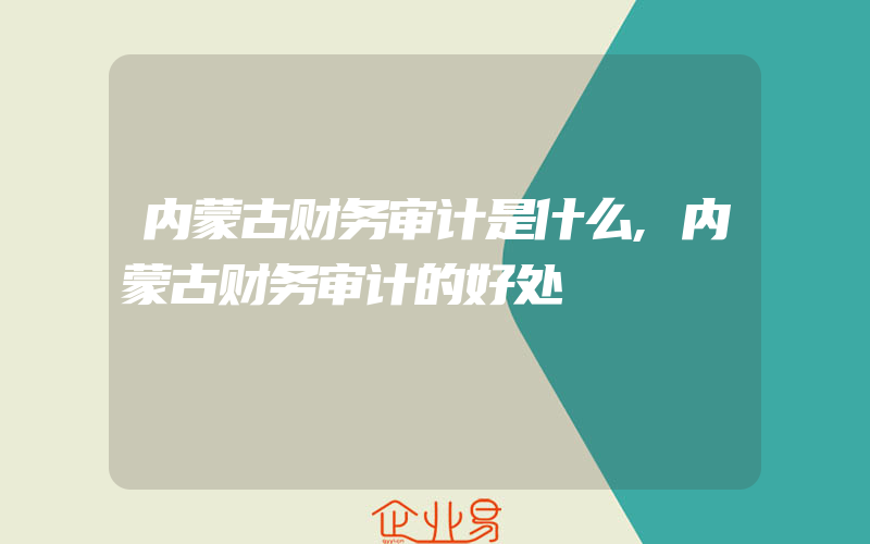 内蒙古财务审计是什么,内蒙古财务审计的好处