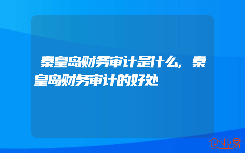 秦皇岛财务审计是什么,秦皇岛财务审计的好处