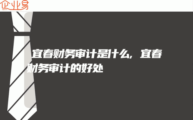 宜春财务审计是什么,宜春财务审计的好处