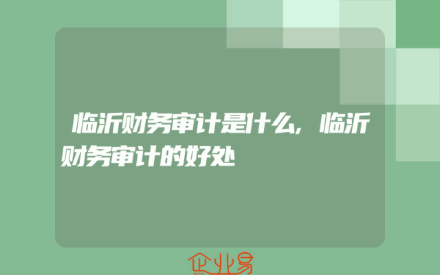临沂财务审计是什么,临沂财务审计的好处