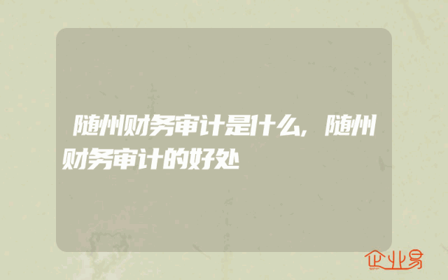 随州财务审计是什么,随州财务审计的好处