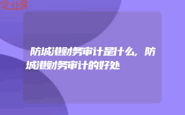 防城港财务审计是什么,防城港财务审计的好处