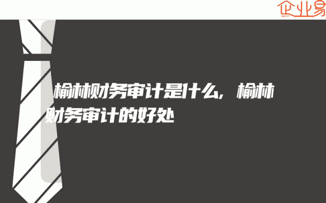 榆林财务审计是什么,榆林财务审计的好处