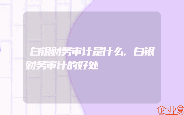 白银财务审计是什么,白银财务审计的好处