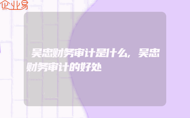 吴忠财务审计是什么,吴忠财务审计的好处
