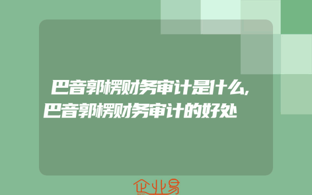 巴音郭楞财务审计是什么,巴音郭楞财务审计的好处