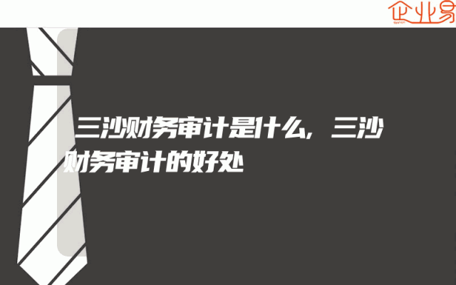 三沙财务审计是什么,三沙财务审计的好处
