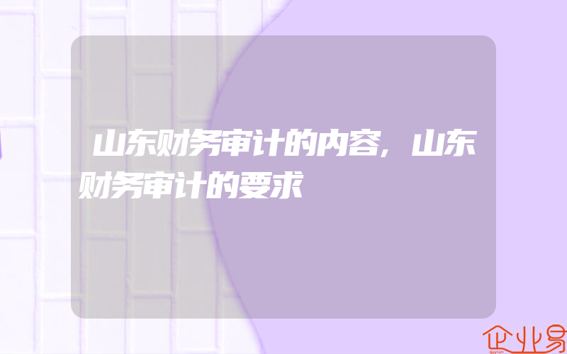 山东财务审计的内容,山东财务审计的要求