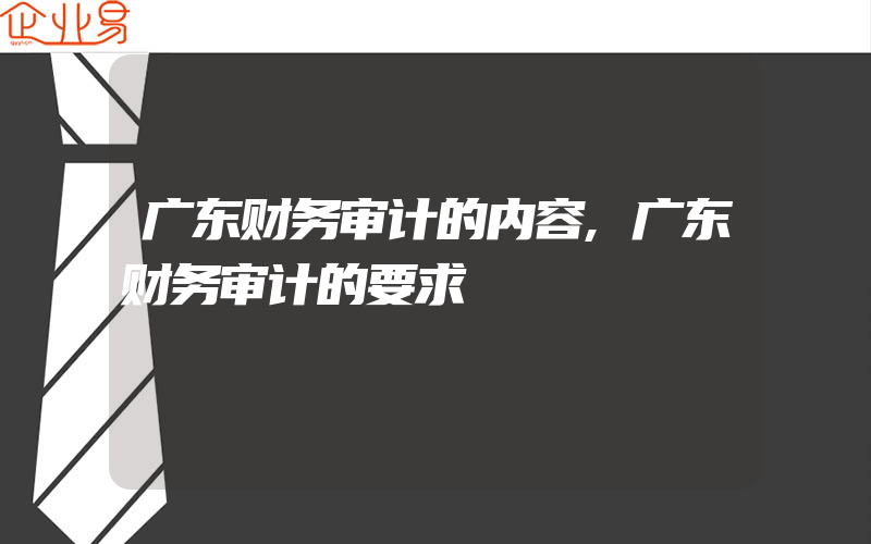 广东财务审计的内容,广东财务审计的要求