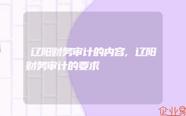 辽阳财务审计的内容,辽阳财务审计的要求